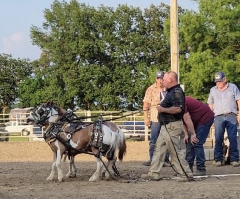 pony pull