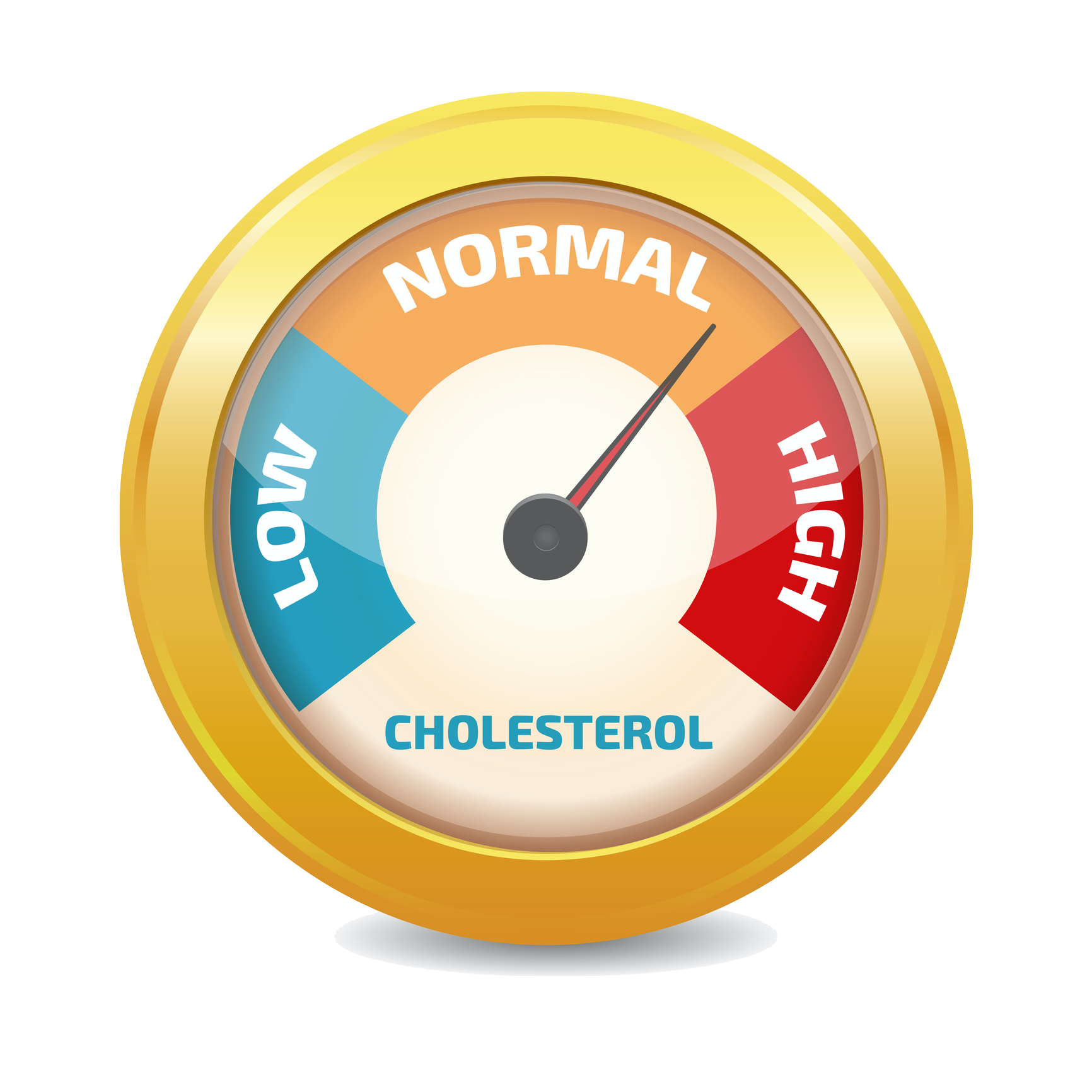 Cholesterol screening image_meter showing low normal and high copy