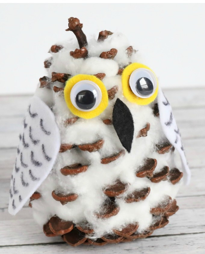 Snowy-Owls-Pin-1