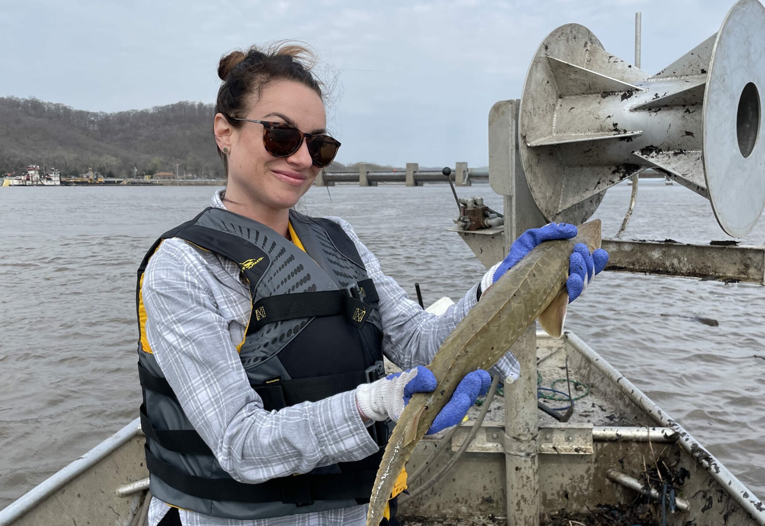 Fishing for delicacies on the Muddy River: Pleasant Hill business sells  caviar harvested from Mississippi to places around world – Muddy River News
