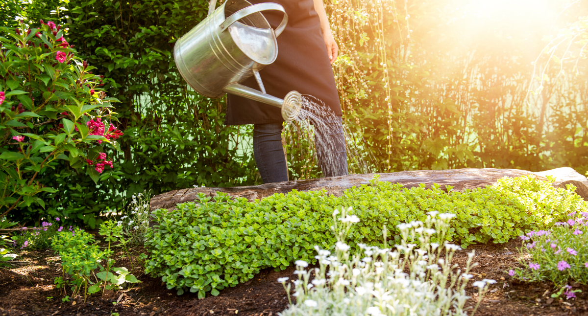 Watering-tips