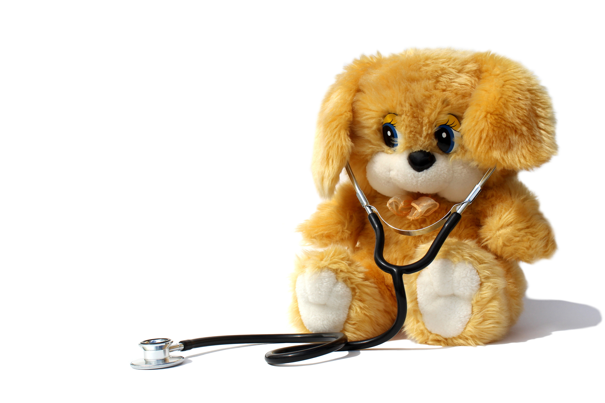 A toy dog sits on a white background with a stethoscope.