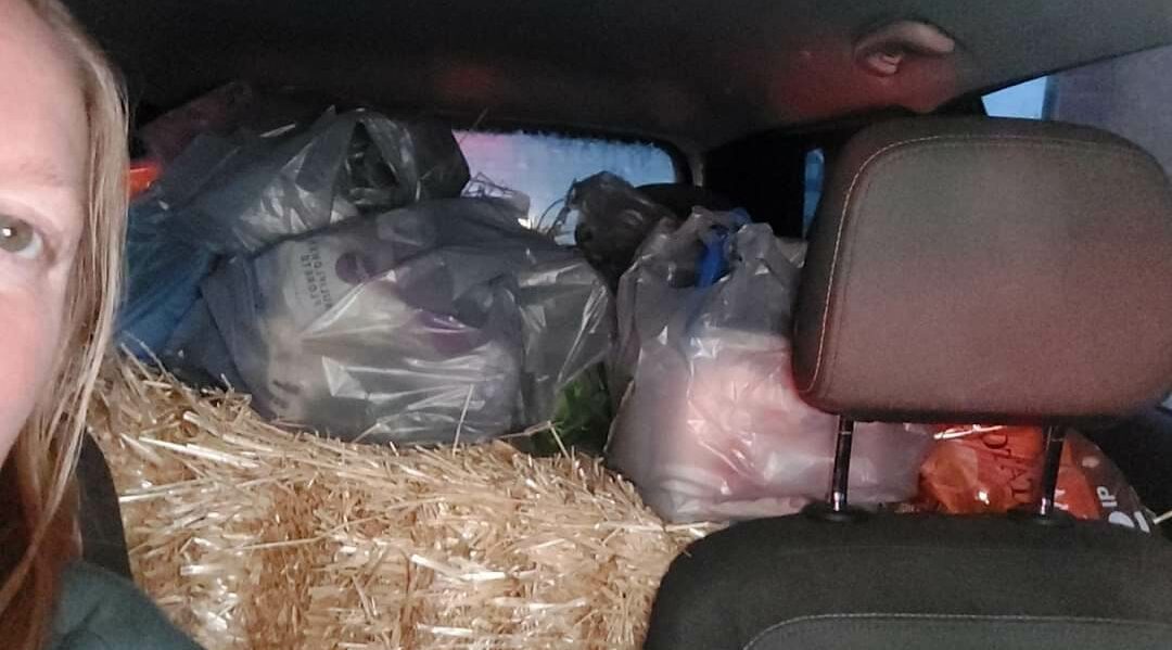 Two straw bales and a week's worth of groceries shoved into an Equinox.