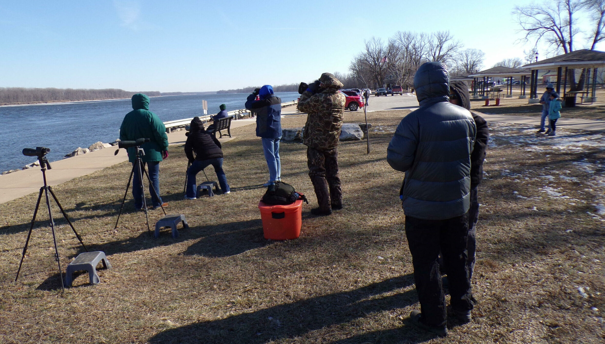 eagle viewing