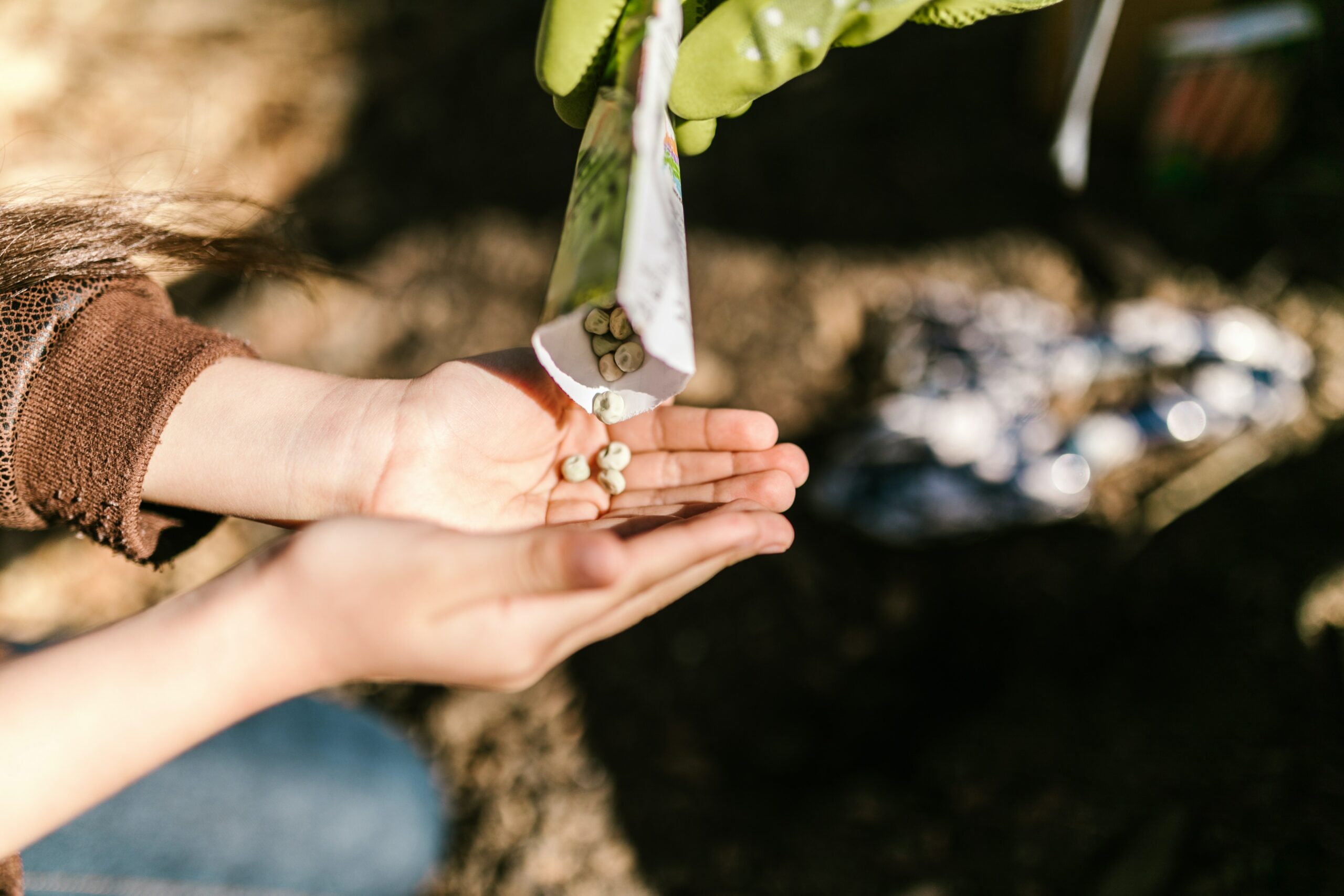 seed planting