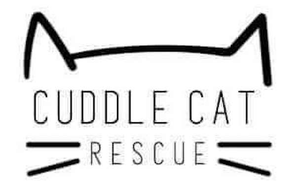 Cuddle Cat 1