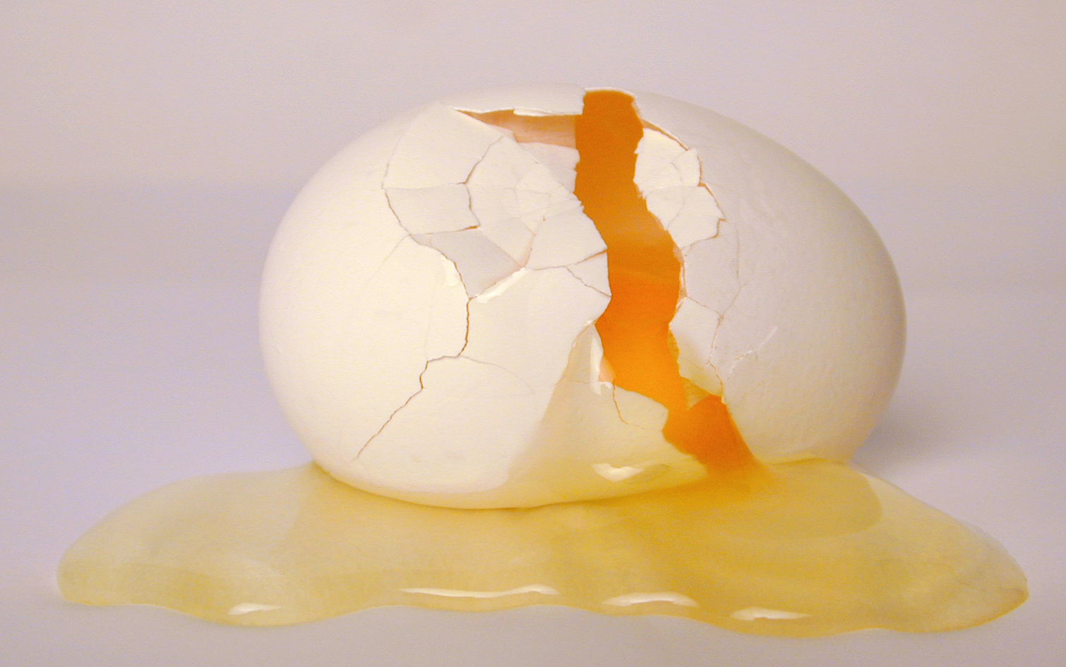 broken-egg