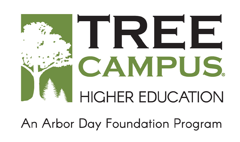 tree-campus-logo-web