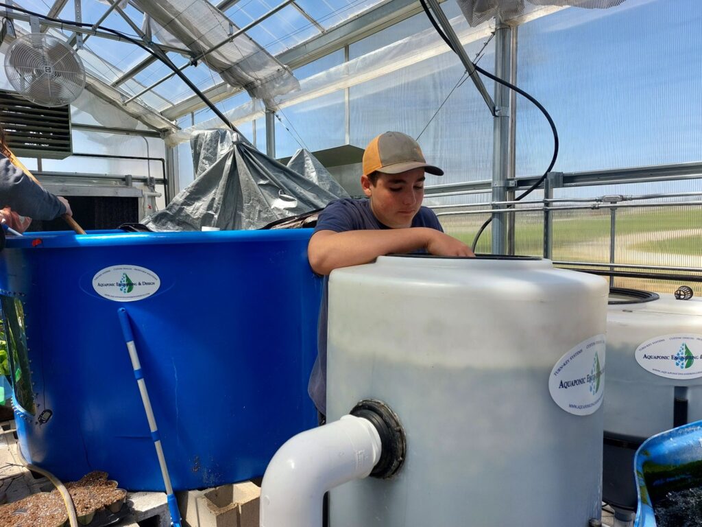 AJ Herrin checks water level on one of the tanks while students behind him clean the large tank where the tilapia are raised.