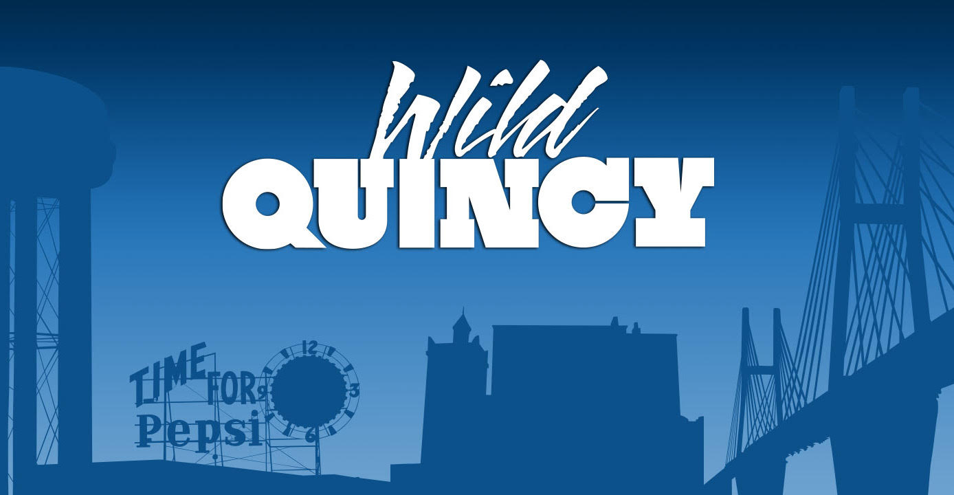 Wild Quincy