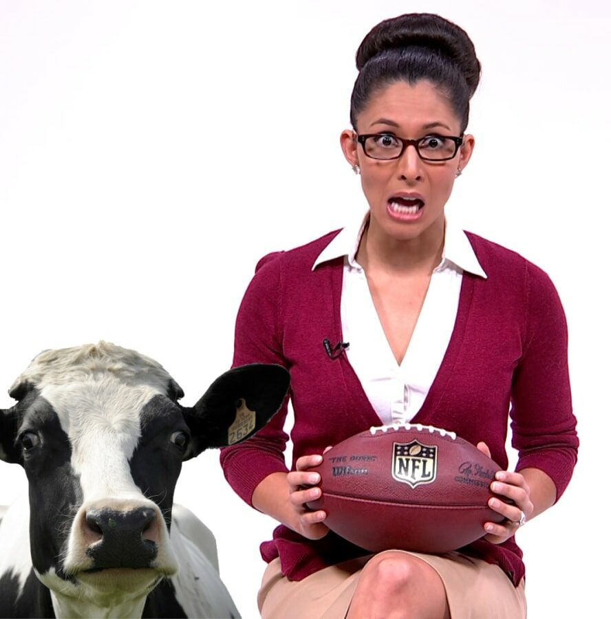 mustard-minute-useless-facts-ridiculous-number-of-cows-used-to-make-nfl-footballs-img