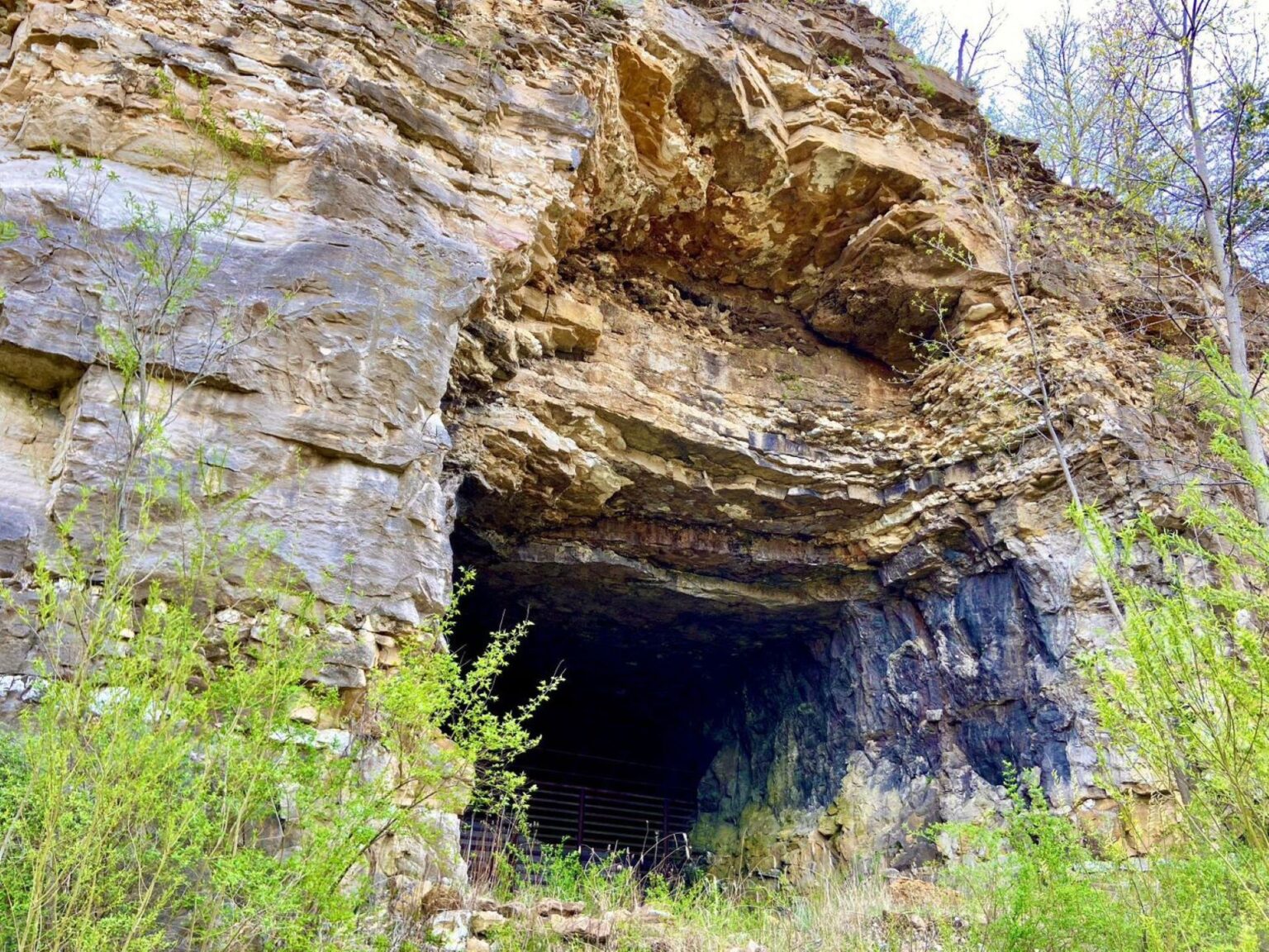 Sodalis cave