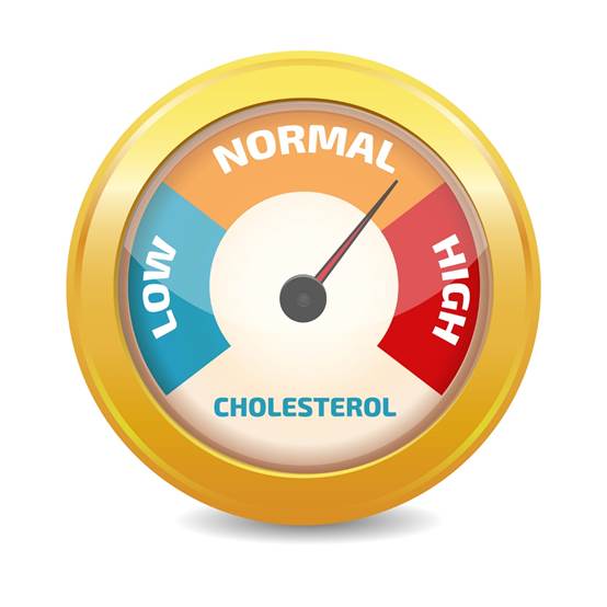 cholesterol 2