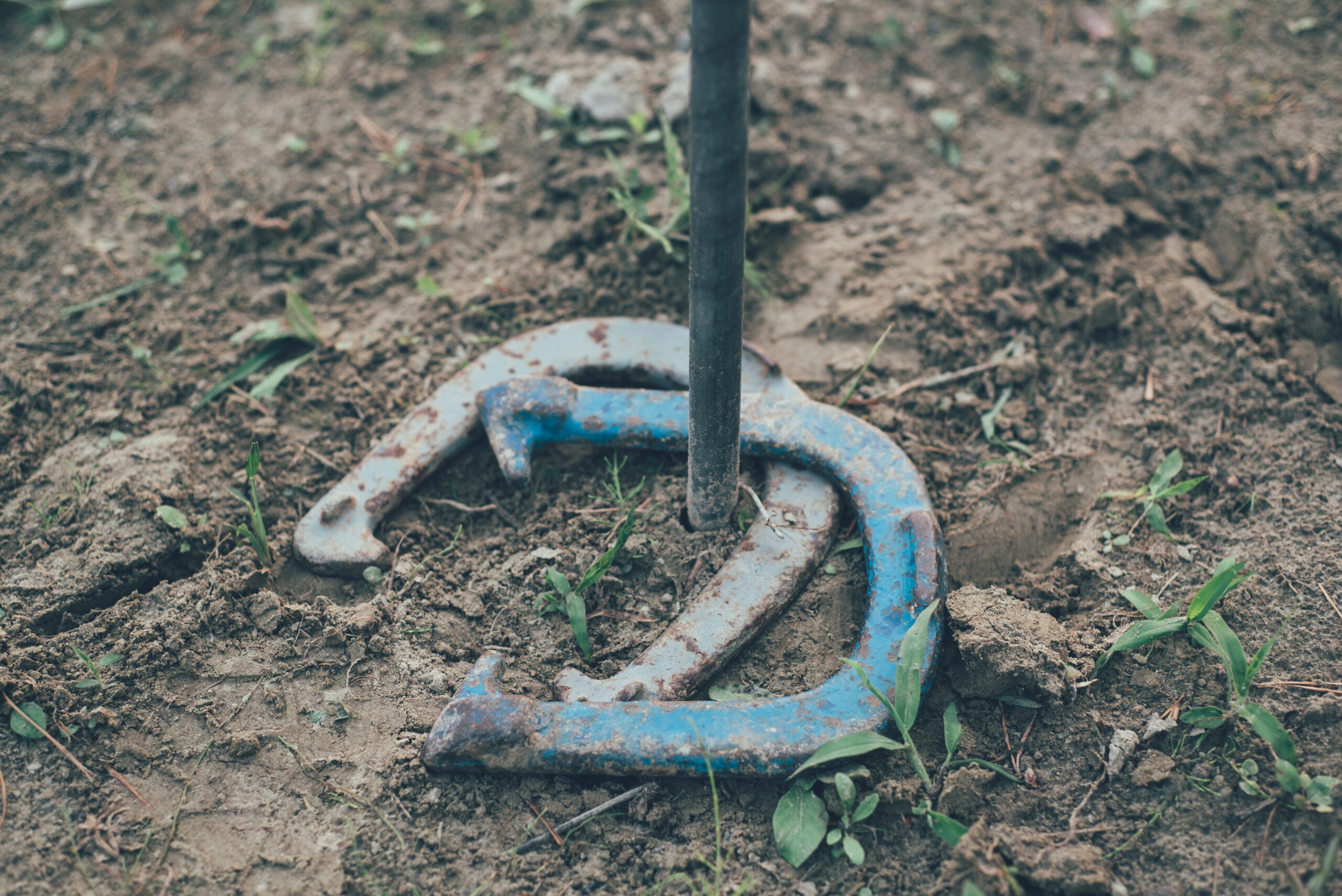 horseshoes