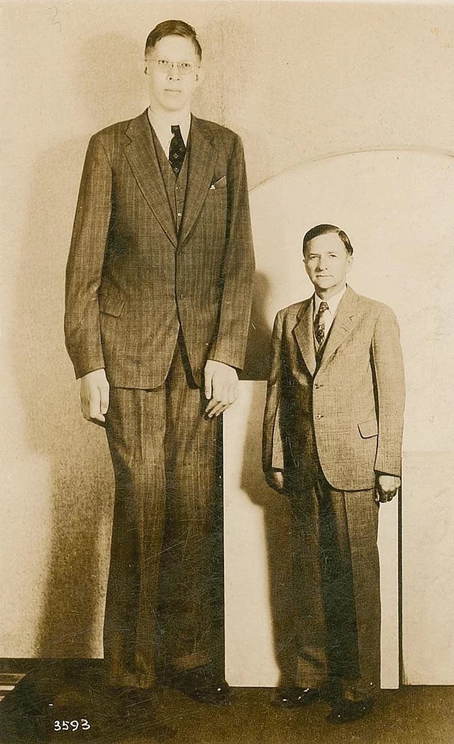 Robert_Wadlow_postcard