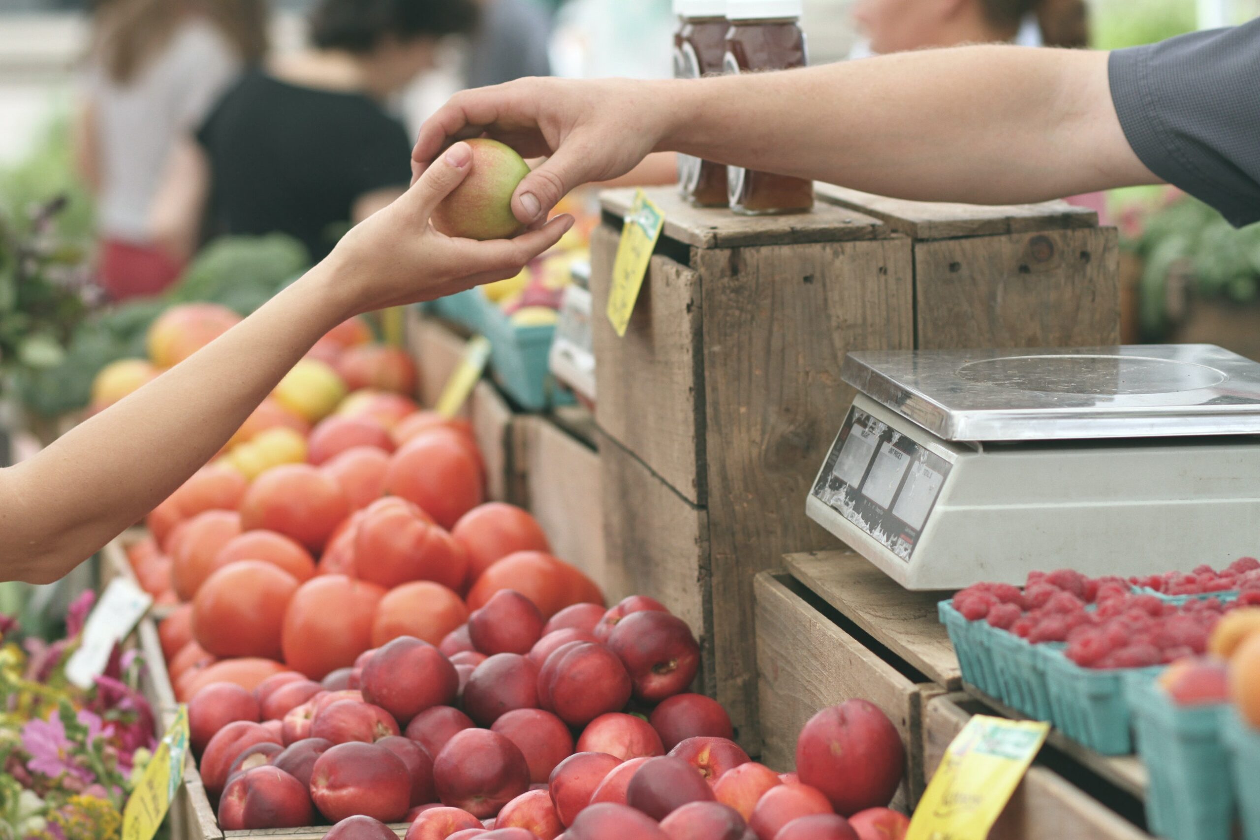 farmer's market farmer's market