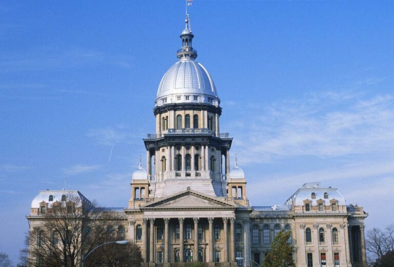 New laws in Illinois to impact small businesses Muddy River News