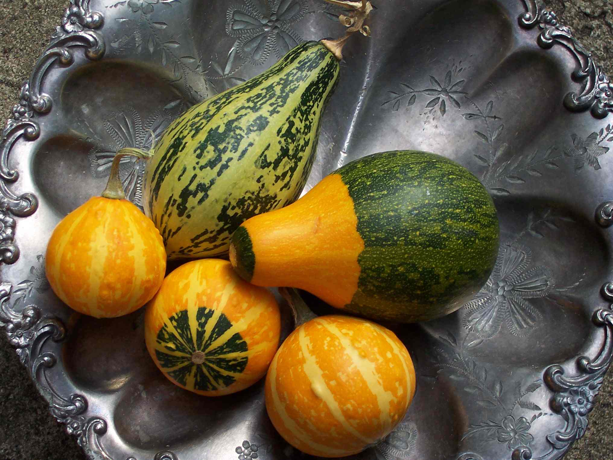 gourds