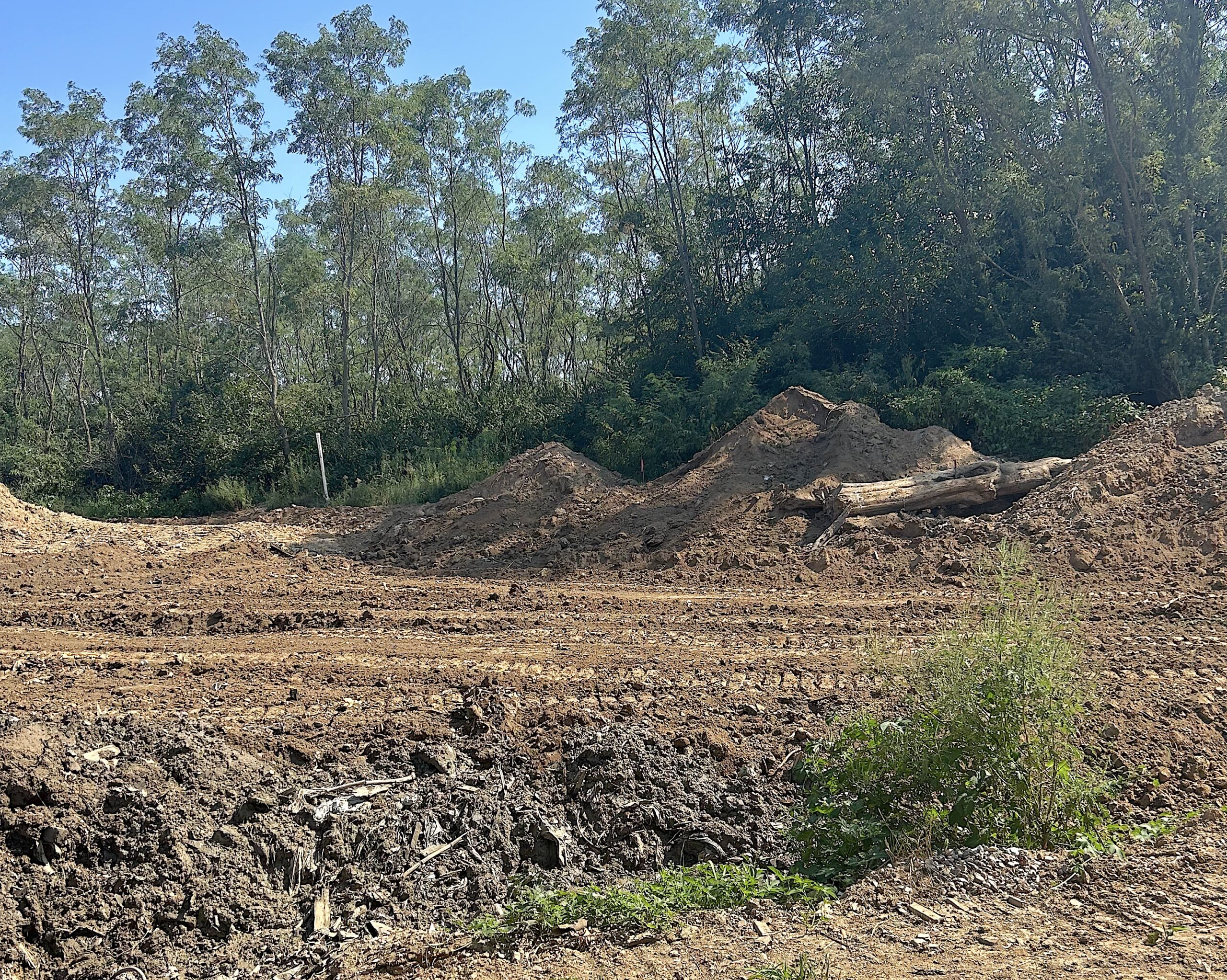 Landfill on Koch's Lane