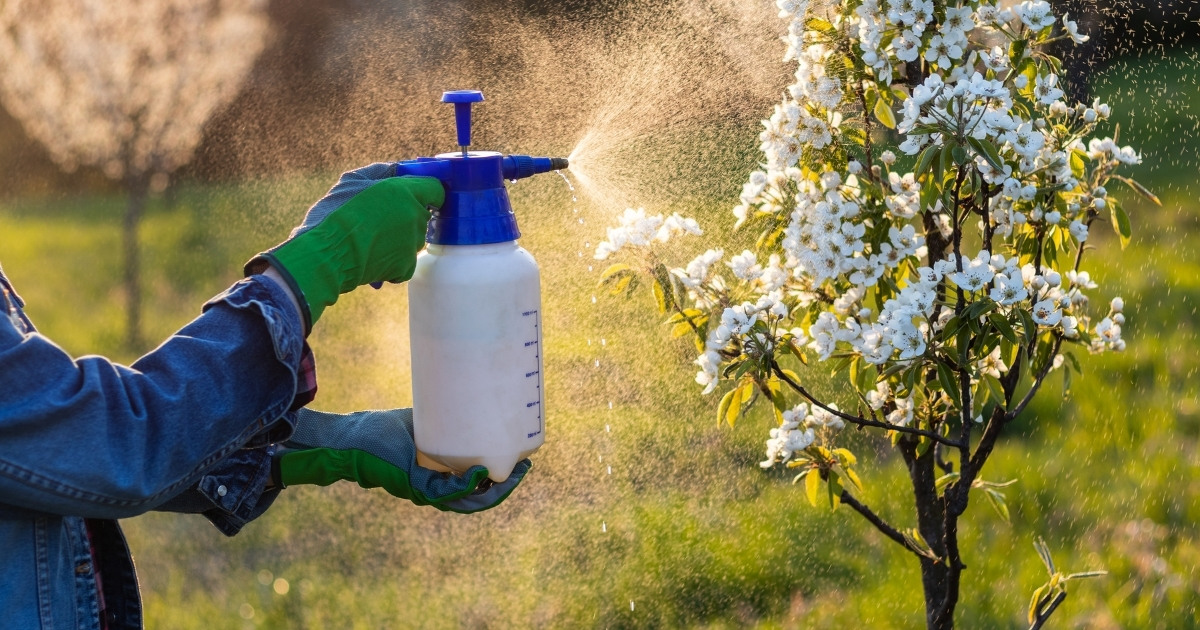 pesticide_safety_website_properties_img_extension_1200x630