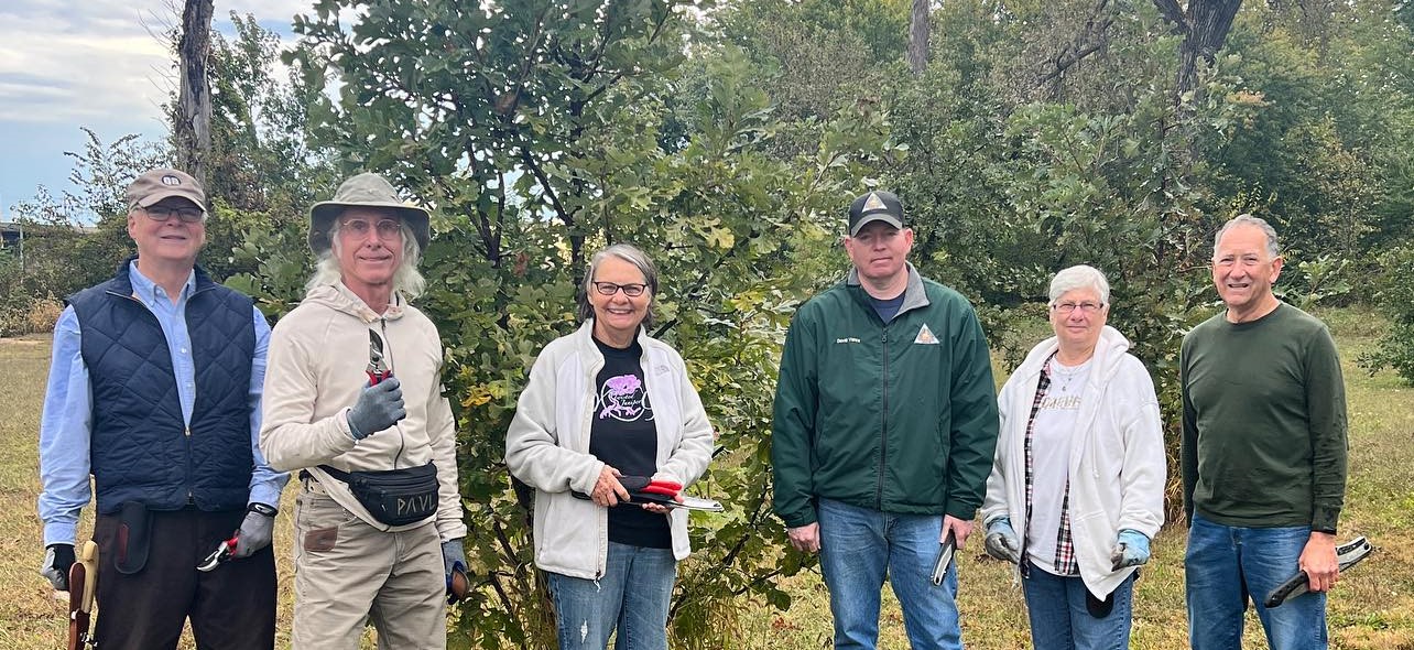 tree board members