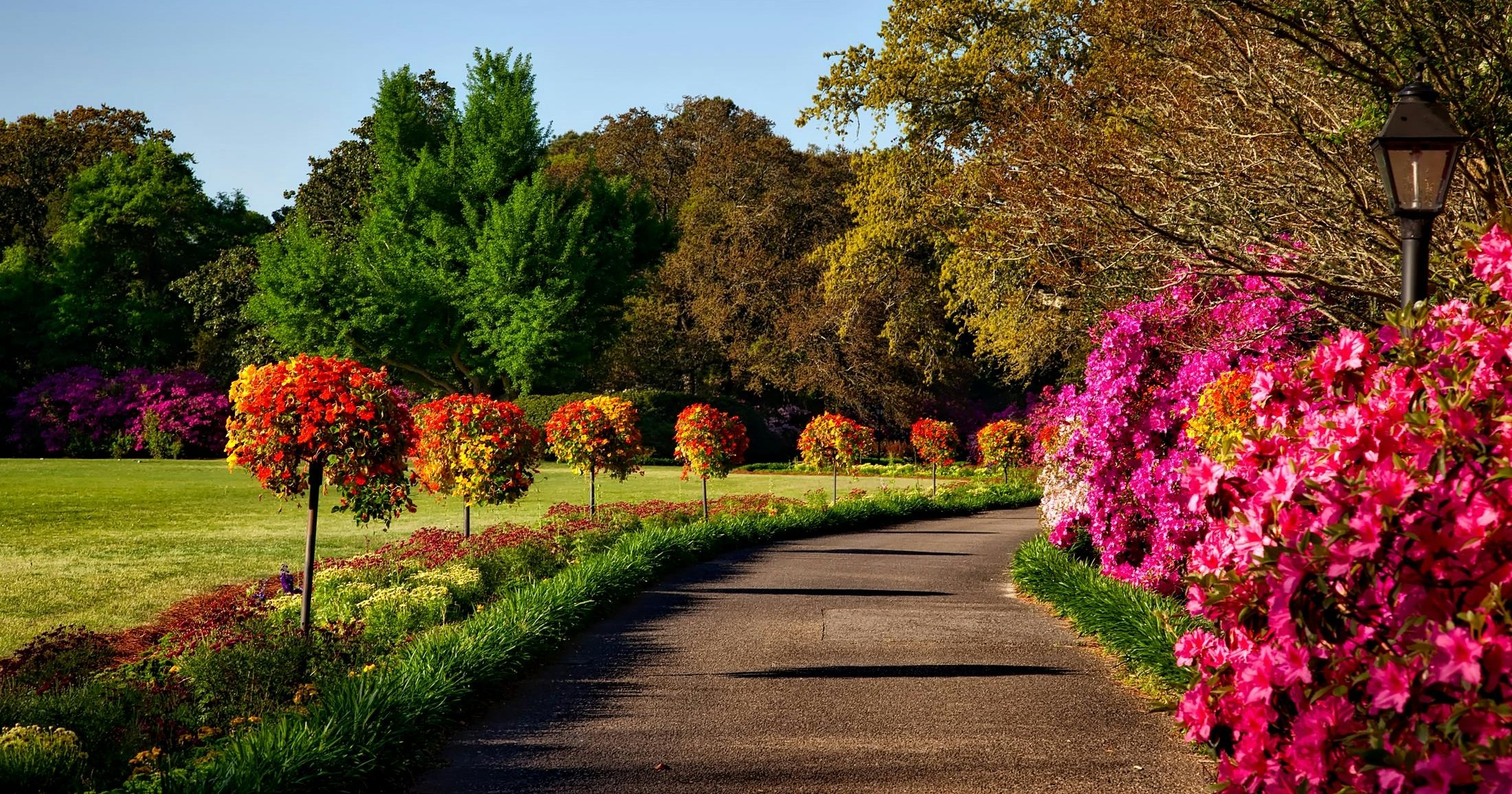 curved garden path