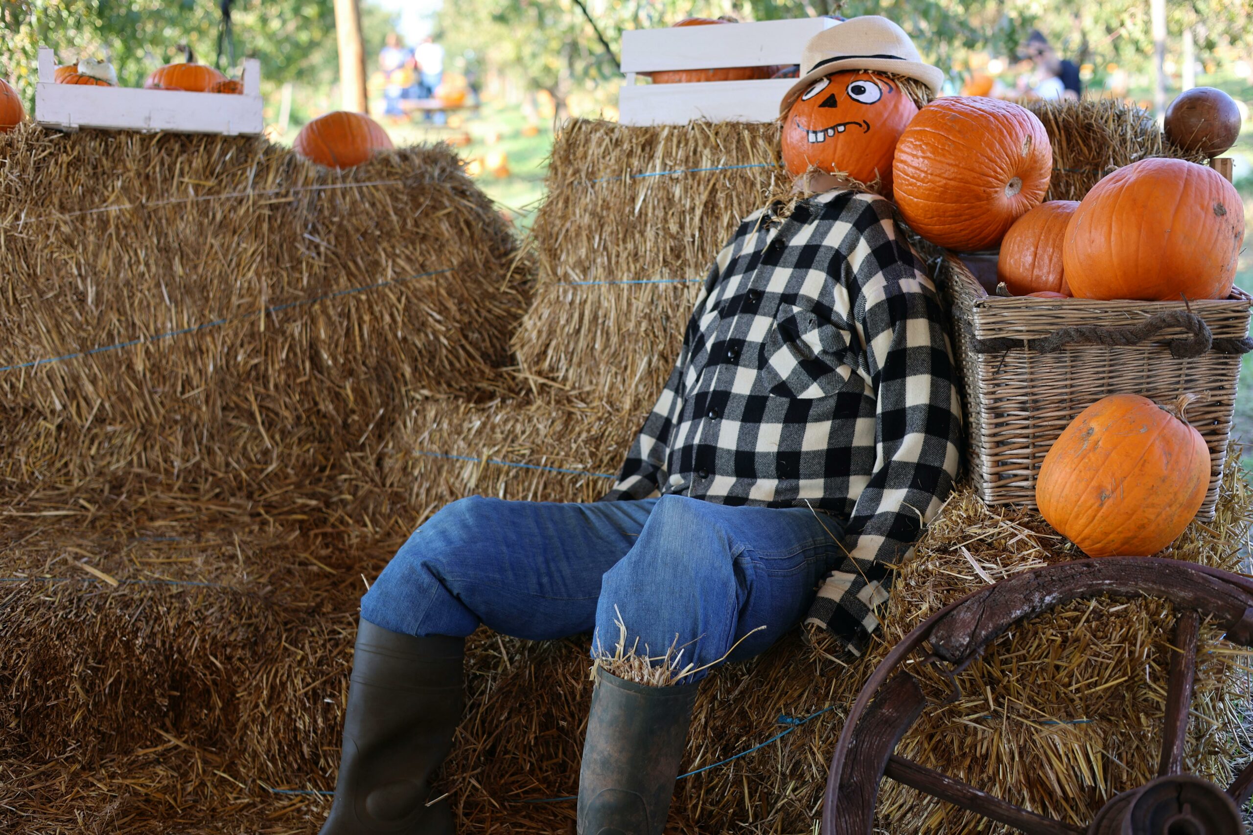 scarecrow pumpkin