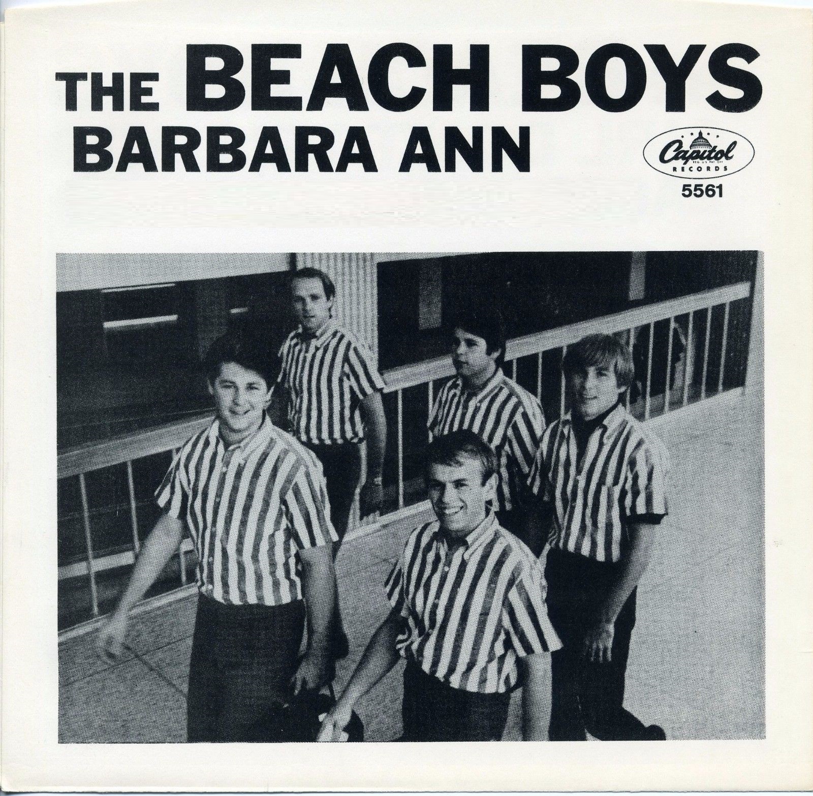 The Beach Boys