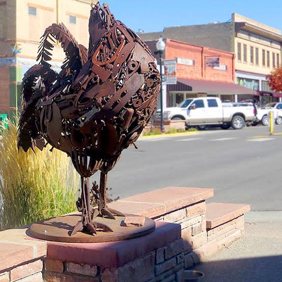 headless chicken