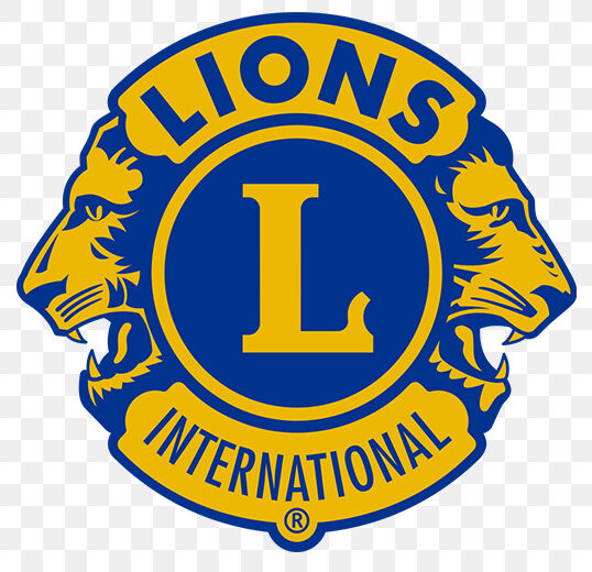 lions logo