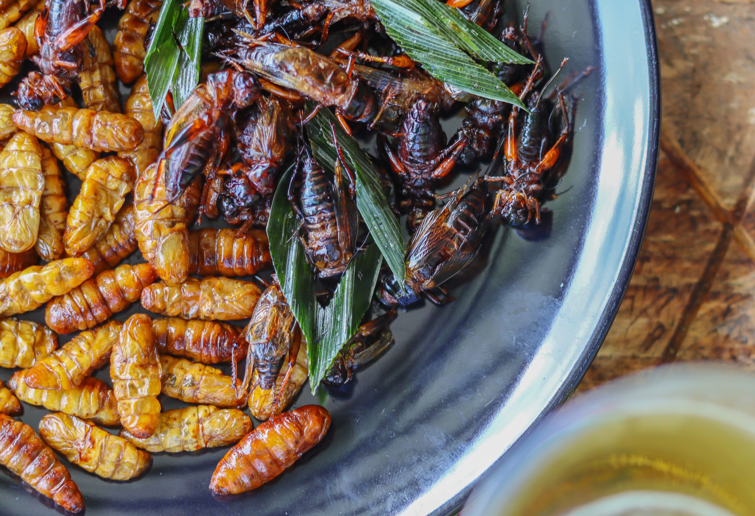 Crispy insects are served in black ceramic plates placed on tables made of steel grates, and fried insects are a popular food paired with alcoholic beverages as they are easy to find and very popular