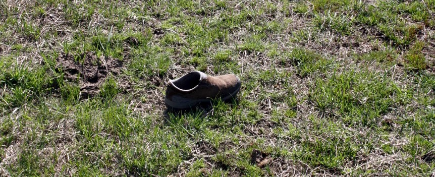 frost seeding legumes