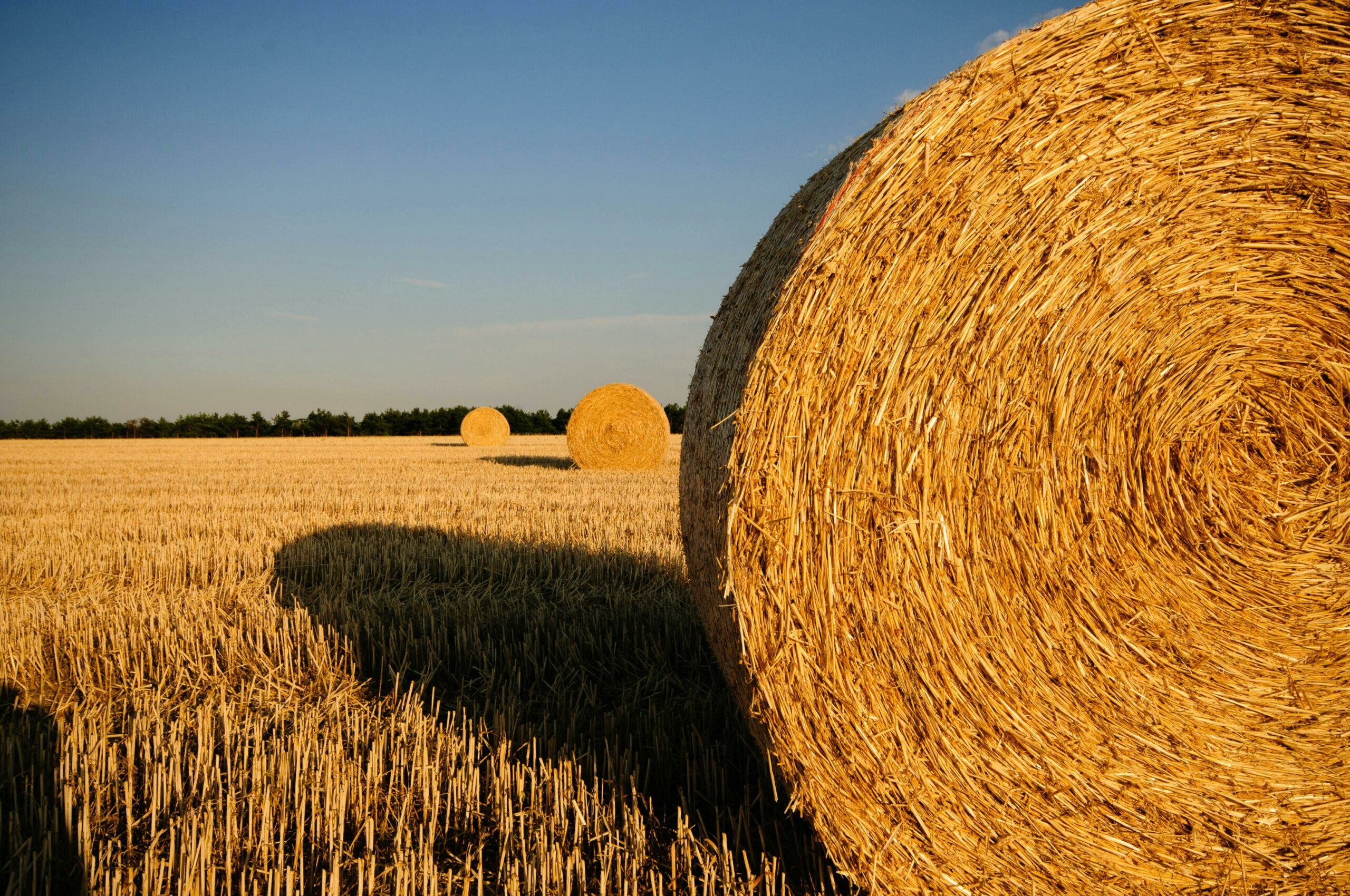 hay bale weight2