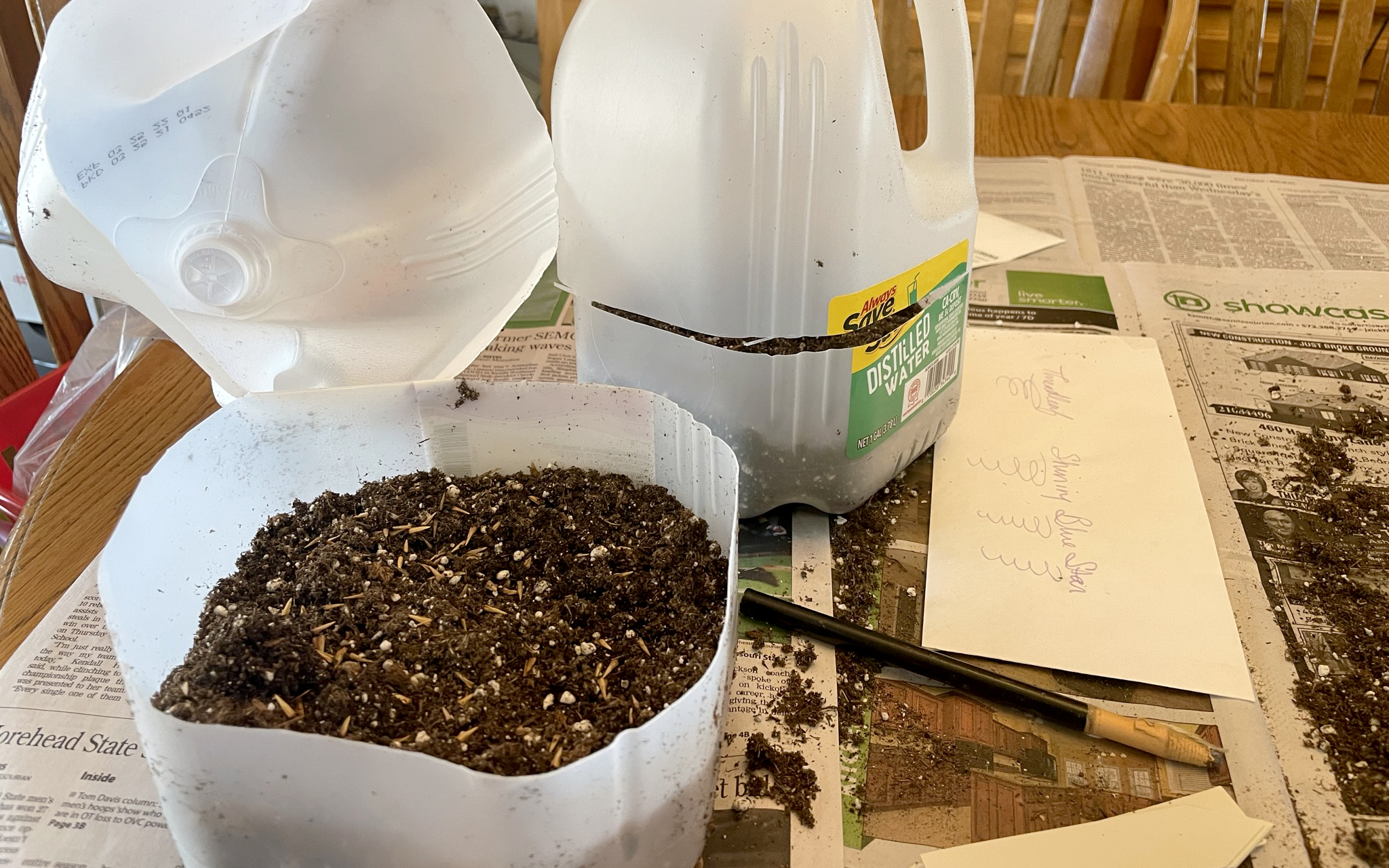 milk jug garden