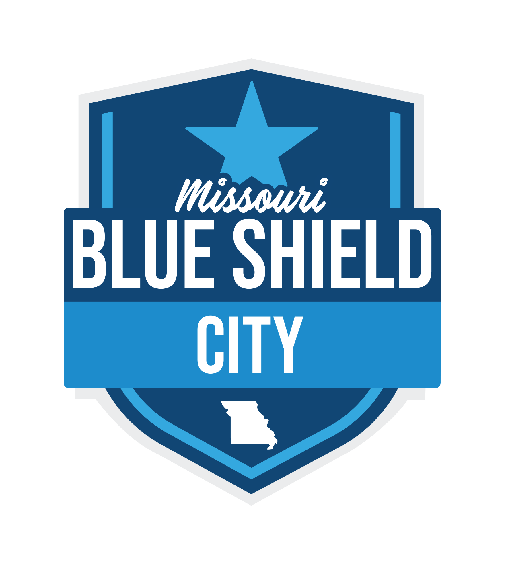Blue shield logo Blue shield logo