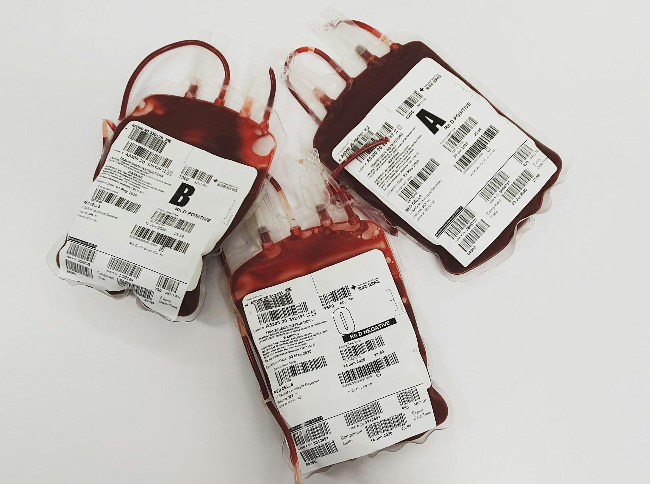 bags of blood bags of blood