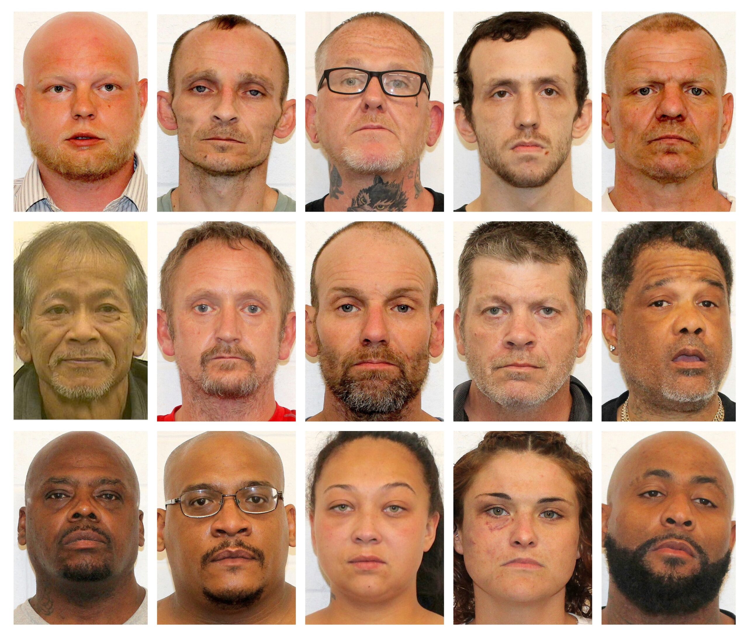 task force 15 arrests task force 15 arrests