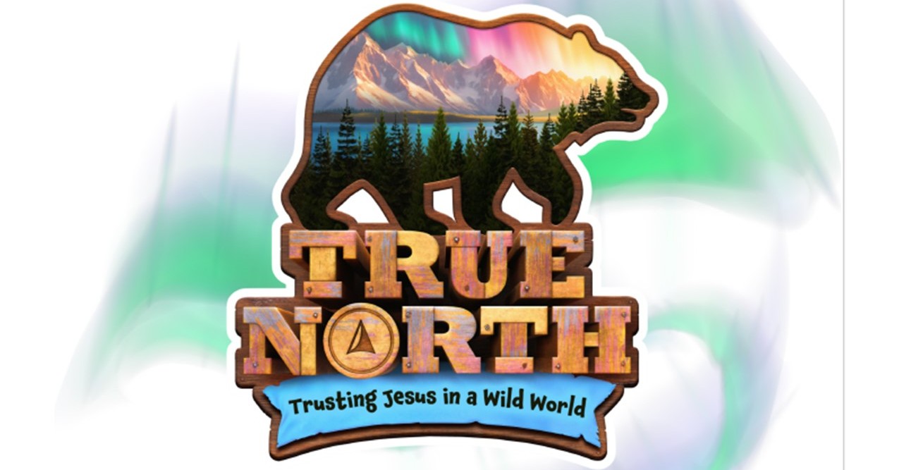 VBS true north VBS true north