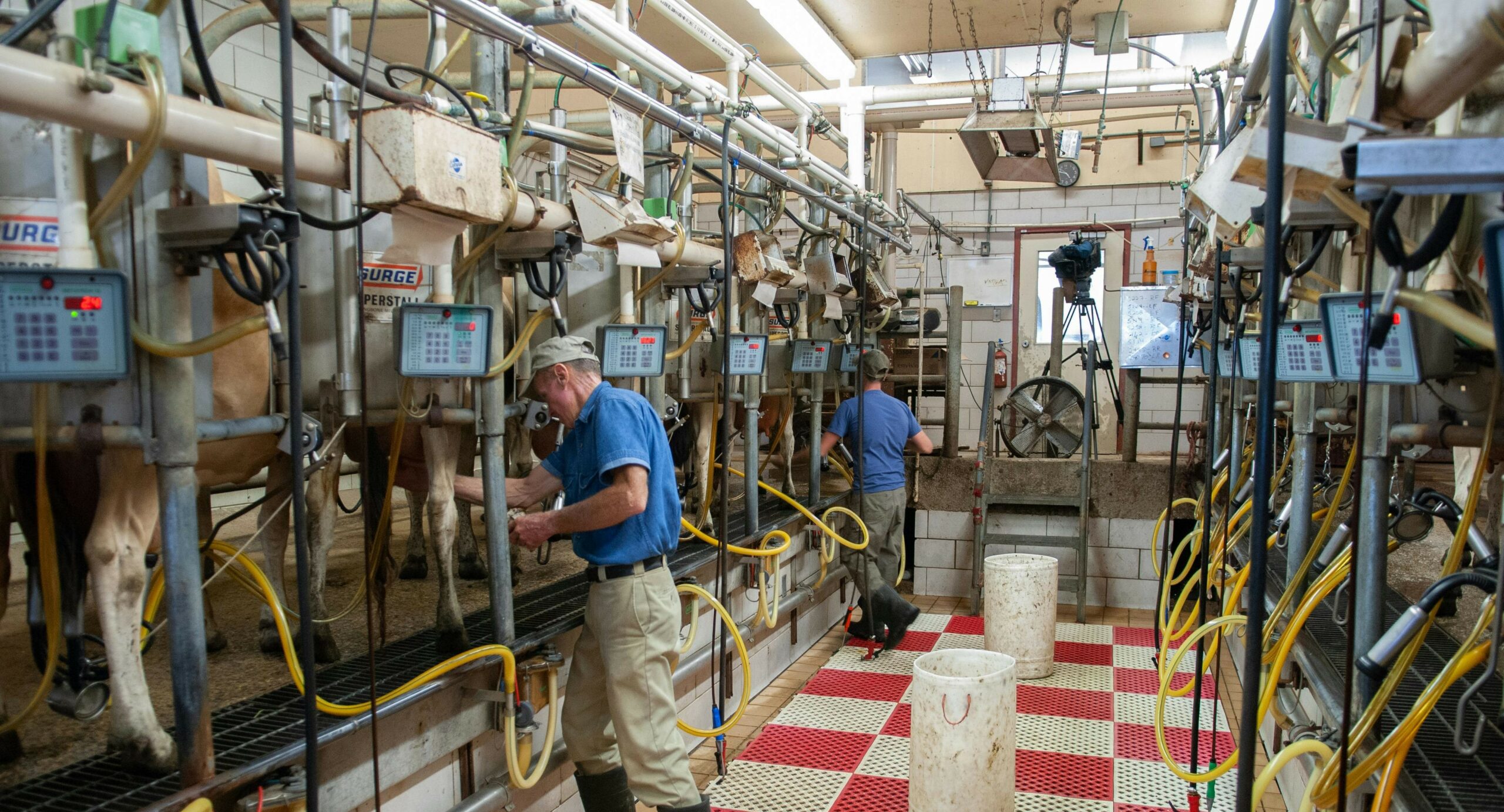 dairy farmers dairy farmers