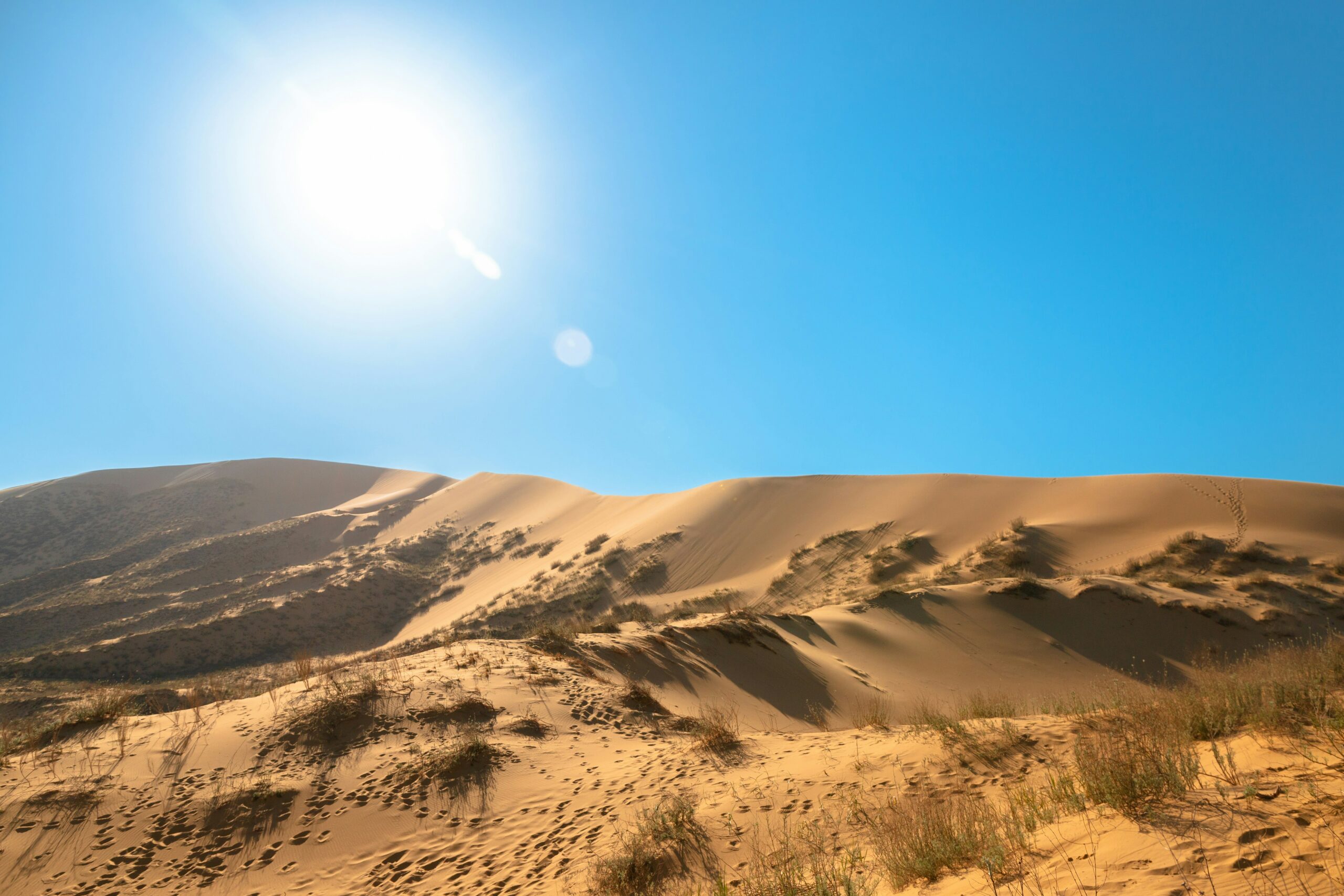 dmitry-grachyov-GgMRgvBsTH0-unsplash dmitry-grachyov-GgMRgvBsTH0-unsplash