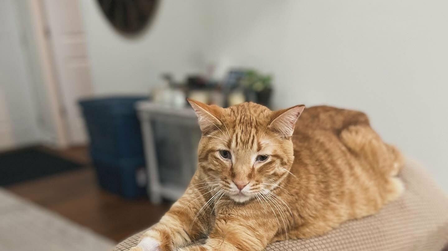 peaches9