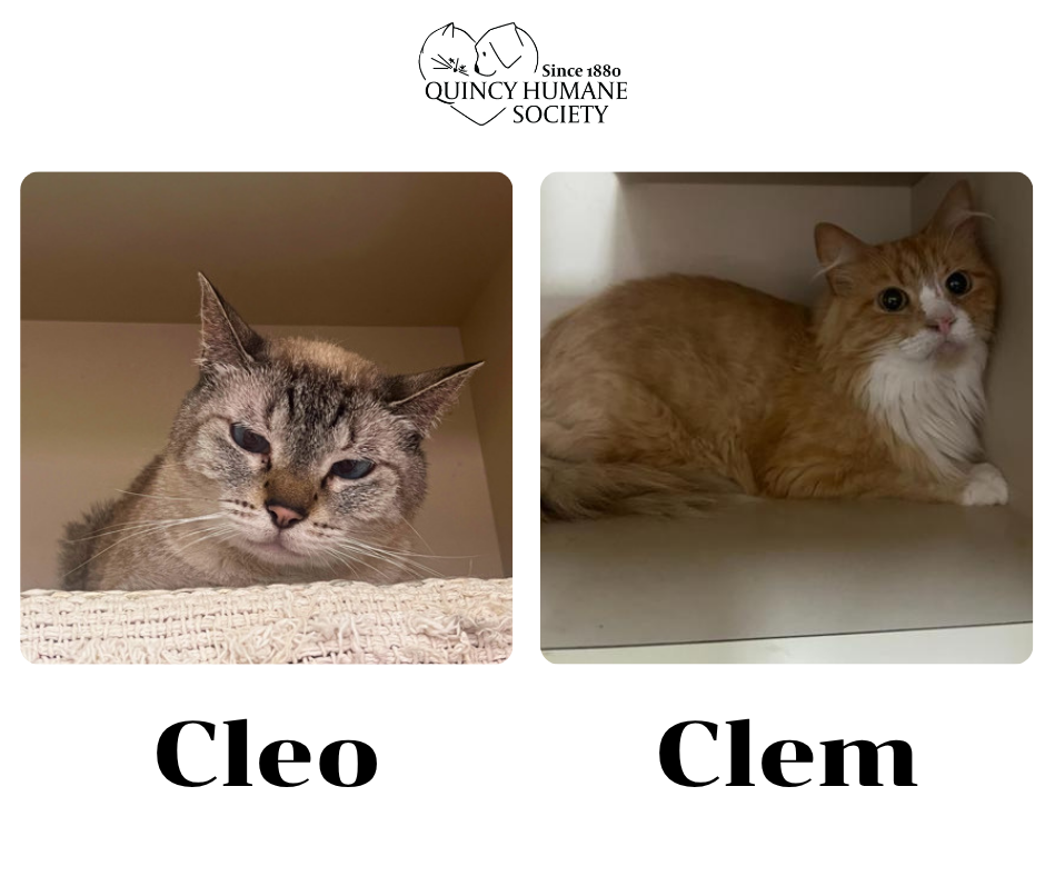 Cleo and Clem