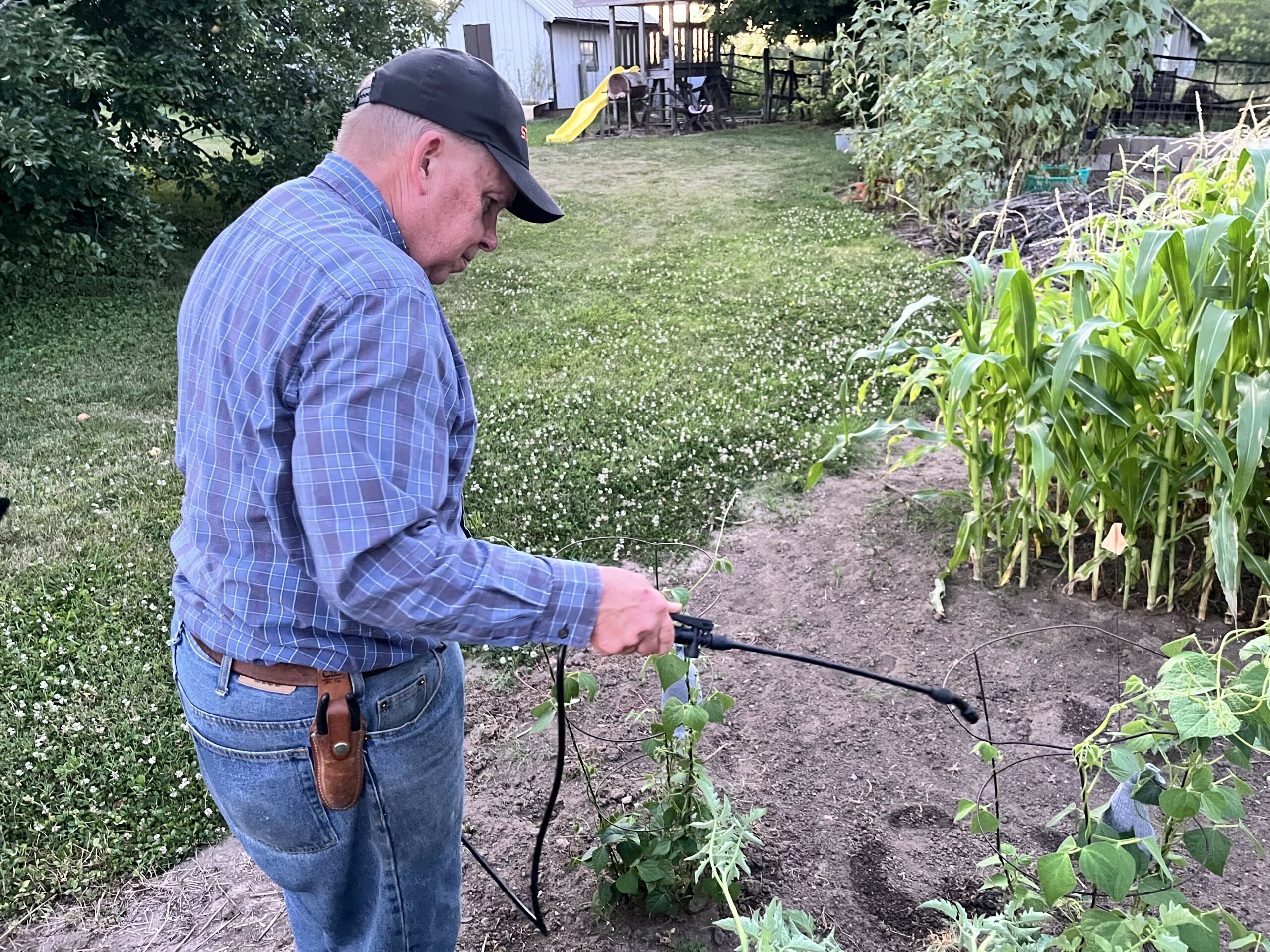 Hort spraying Hort spraying