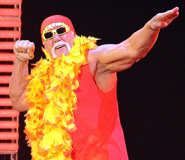 Hulk_hogan_2014_(cropped)